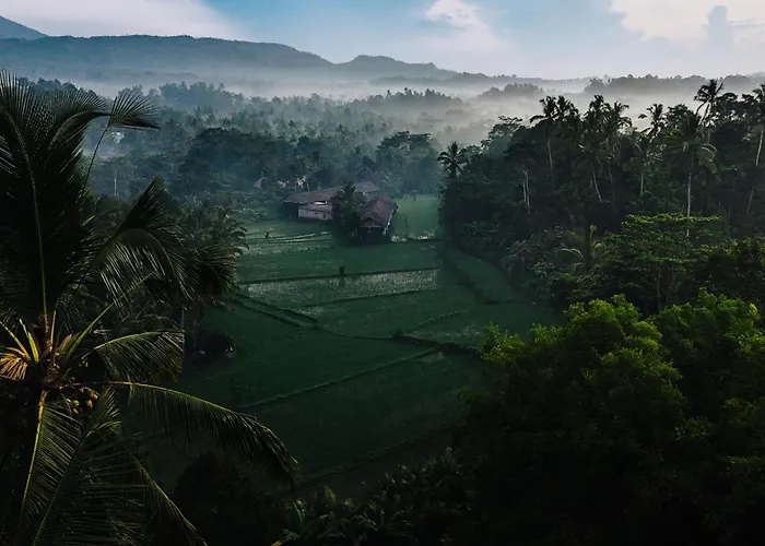Arcada Bali Bamboo House *