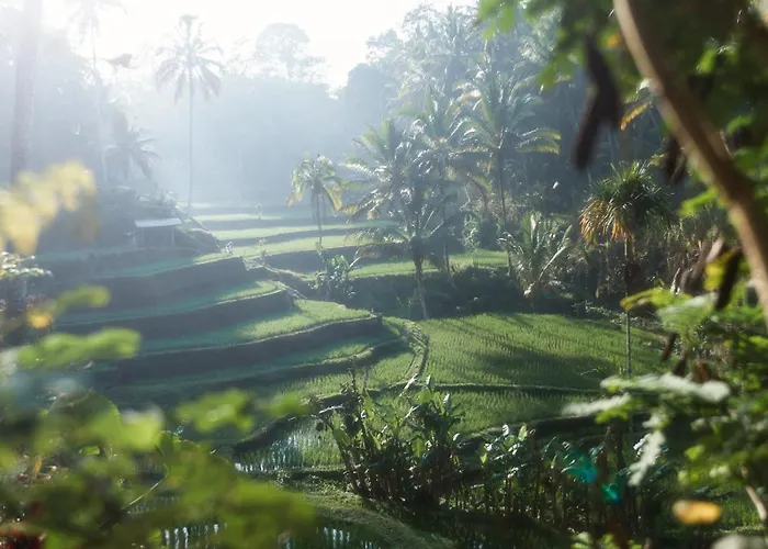 Arcada Bali Bamboo House